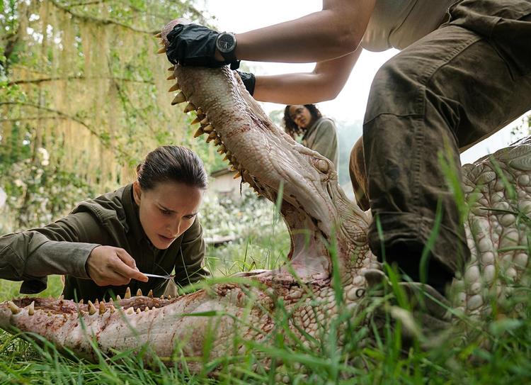 Første del af Jeff VanderMeers 'Southern Reach'-trilogi 'Udslettelse' er netop blevet filmatiseret med Natalie Portman i hovedrollen som biologen, der drager ind i det mystiske Område X.  Photo Credit: Peter Mountain/Peter Mountain