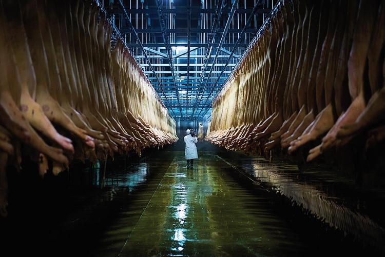 Eating Animals. Instrueret af Christopher Quinn og baseret på bogen af Jonathan Safran Foer.  Foto/CPH:DOX