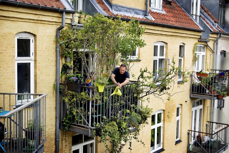 På Boe Sallingboes altan gror både træer, buske, krydderurter og jordbær. Næste projekt er en decideret skov. Arkivfoto: Finn Frandsen Arkivfoto: Finn Frandsen