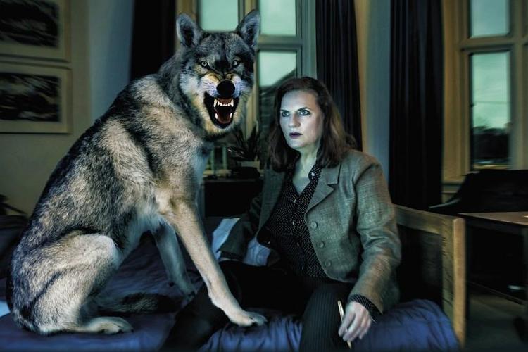 Ulvene skaber frygt og rædsel. Kultforfatteren Bolette Lund, spillet af Tina Gylling Mortensen, er den eneste, der kan slå ulvene tilbage med sine identitetspolitiske digte. Det er vildt, men ikke vildt nok. Per Morten Abrahamsen