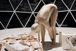 Mennesket (Hilde I. Sandvold) må i den syv timer lange  installation give fortabt i forhold til  ormene, når det gælder the survival  of the fittest.   Ben Walland