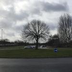 Natten til 1. maj blev lindetræet fældet. I stedet skal der opføres et kunstværk af 
 kunstnerne Randi Jørgensen og Katrine Malinovsky. 
Kunstværket forestiller en minirundkirke. 
 Johannes Kaas Fallesen /P4 Bornholm 