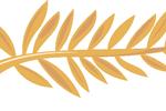 cannes_palme_stor