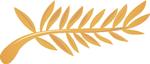 cannes_palme_stor