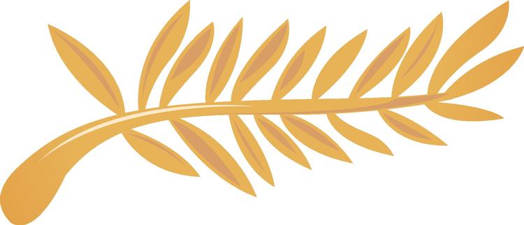 cannes_palme_stor