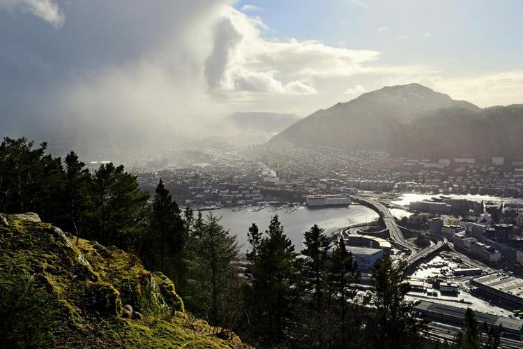 I ’Den som forvolder en andens død' møder vi forsvarsadvokat Mikael Brenne i den by, der var anonym i de andre bøger, norske Bergen. Arkivfoto Michael Narten/AP