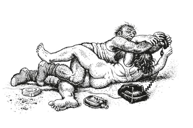 Illustration fra bogen