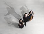 Næste år fylder Trio con Brio 20 år. Det fejrer ensemblet ved at tage hul på Beethoven.
 PR-foto Fra albummet