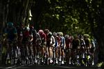 Når der ikke er mere Tour de France i tv, kan vi cykelaber heldigvis boltre os i podcasts om selvsamme. Marco Bertorello/Ritzau Scanpix/Ritzau Scanpix