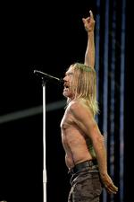 71-årige Iggy Pop  giver den som altid hele armen bag  mikrofonen. Det gør han også i samarbejdet med Underworld, hvor Iggy Pops meget personlige frihed hævdes at være truet. Arkivfoto Thomas Borberg