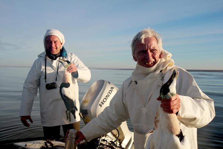 Jægeren Jørgen Skouboe og kokken Nikolaj Kirks forsøg på at nakke og æde alskens dyr er herlig underholdning. Thomas Rounborg