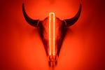 Kevin McKenzie bidrager med værket ’Father, Son, Holy Ghost’, tre bisonkranier støbt i polyuretan med neonrør. Joshua Voda/NMAI