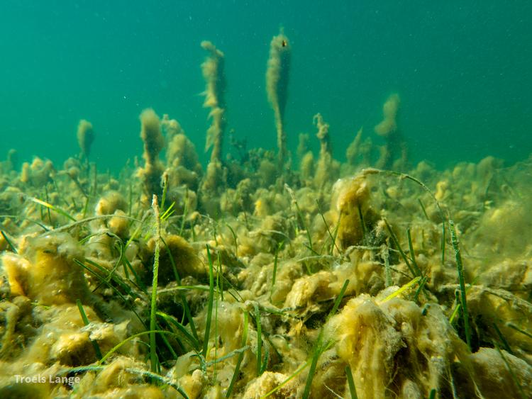 file7s1e1srx1zndrpgz1mx