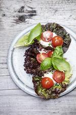 Den milde hjemmelavede ost serveres på salatblade med tomater og frisk basilikum. 