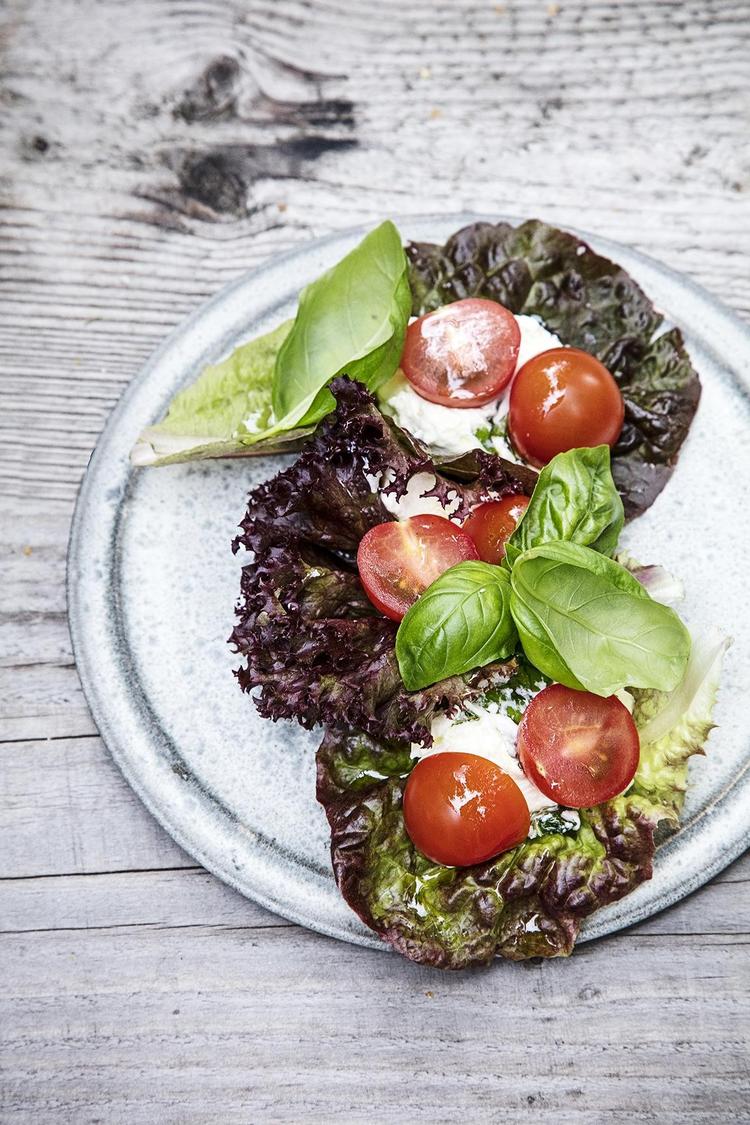Den milde hjemmelavede ost serveres på salatblade med tomater og frisk basilikum. 