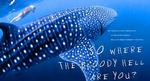 australia_slogan_web