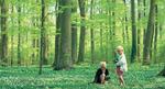 bøgeskov_visitdenmark_web
