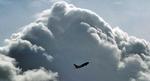 Fly-i-askesky_web_AP_Frank
