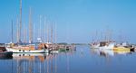 Fyn_web_Bent-Winkel_-VisitD