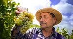 iStock000004252966_nyul_web