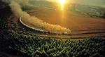 Rovos_Rail_Tours_web
