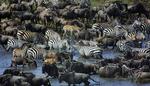 Tanzania-Serengeti-Highway_