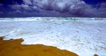strand_941991_70442315_James Farmer_ws