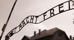 auschwitx-SXC-Gijs-van-Dijk_web