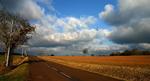 Bilferie,-Bourgogne---SXC---Christophe-Libert-web