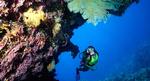 Greatbarrierreef_Island-Eff
