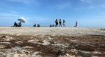 Gulf-Oil-Spill_web_AP_DAVE-