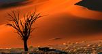 Namibia_Sossusvlei_iStock_000002288753_NicoSmit_ws