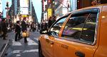 NewYork_web_Terraxplorer_iS
