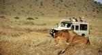 Tanzania-polfoto_web