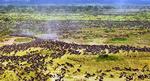 Tanzania-Serengeti-Highway_