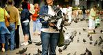 Turistedsted_web_TriggerPho