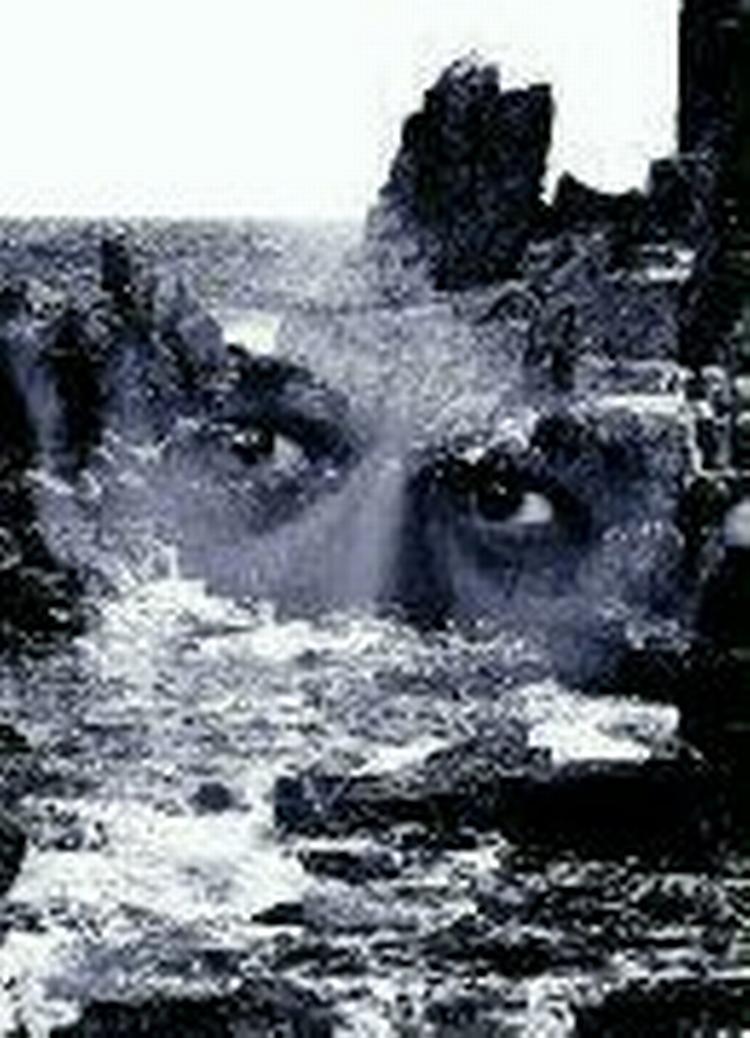Fotocollage: Kim Nielsen 