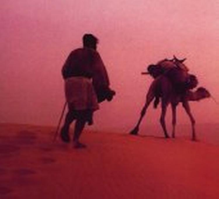 Foto fra bogens omslag 