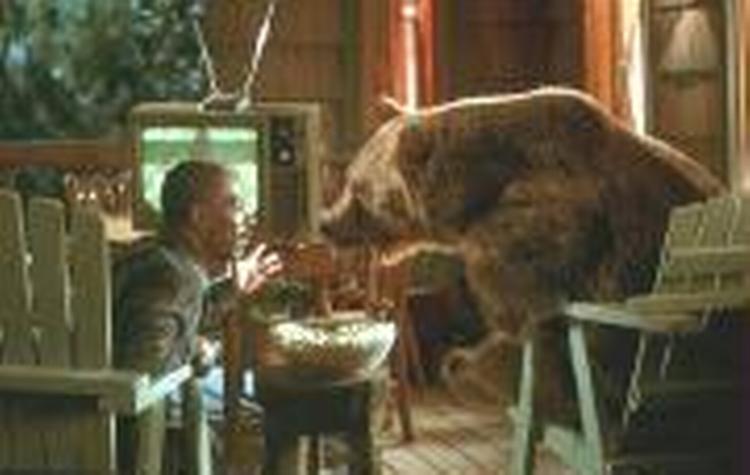 Murphys komiske talent kunne være anvendt bedre. Foto fra filmens hjemmeside. 