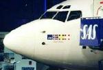 sas
