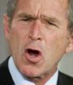 ATTACKS BUSH