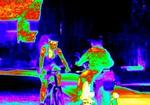 Termisk billedteknik viser varmeafgivelsen hos en cyklende dreng. - Pr-foto fra filmen 