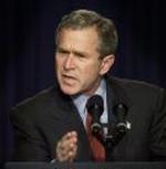 BUSH INVESTIGATION