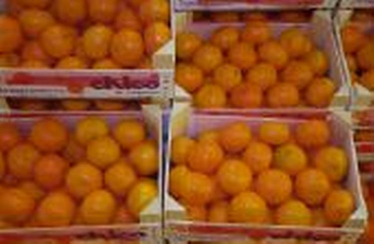 Forbrugerne skal selv bestemme, om de vil købe israelske appelsiner, mener FDB. Foto: Kim Agersten 