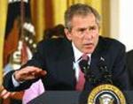 BUSH
