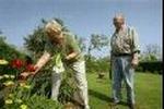 De gamle bliver ældre. Her ses Irma og Bjarne And