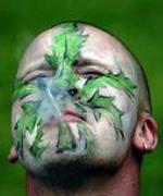England/Lempeligere indsats mod hash