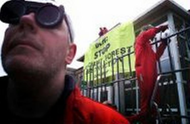 Greenpeace har tidligere aktioneret mod import af ulovligt tropetræ, her forn DLH's hovedkontori Taastrup. - Arkivfoto: Kåre Viemose 