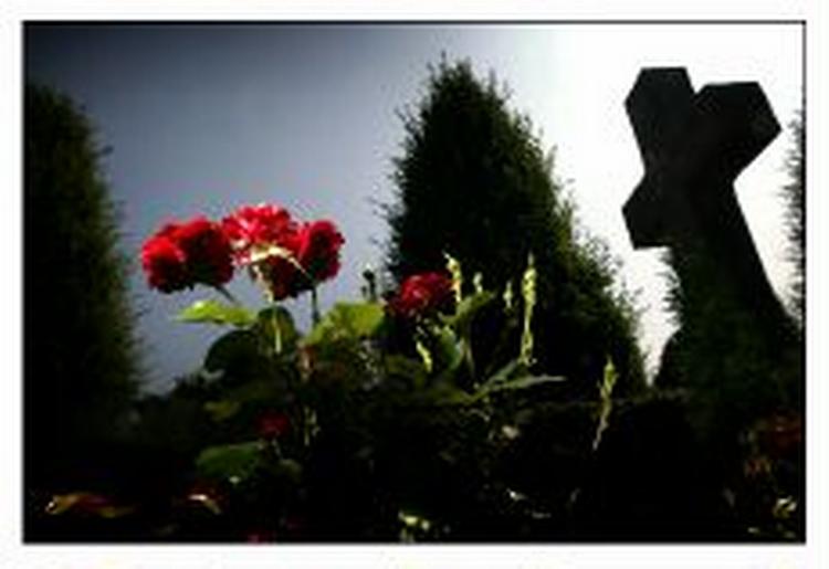 Foto: Thomas Borberg 