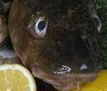 Fisk og grønt